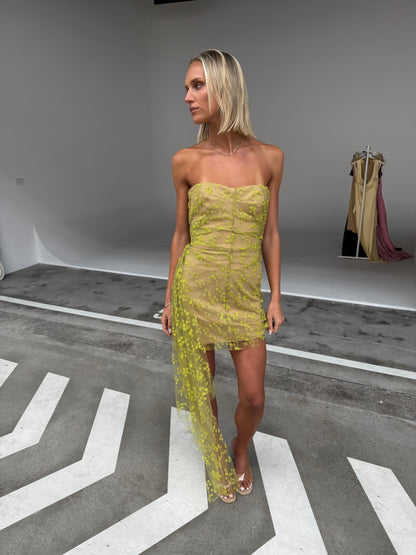 Scanlan Theodore Soleil Drape Tulle Dress