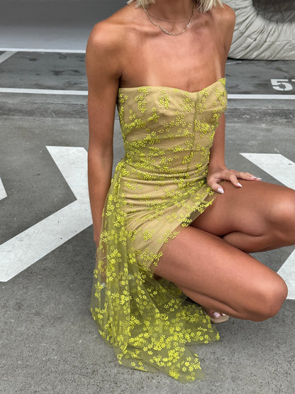 Scanlan Theodore Soleil Drape Tulle Dress